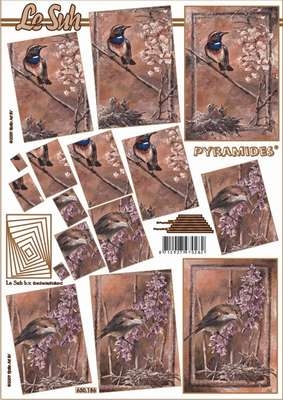 Pyramides Bogen  630186  1