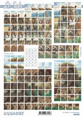 Squares Bogen  630205  1