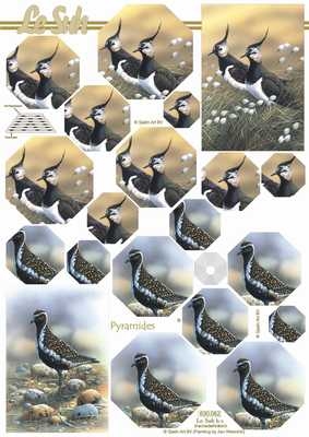 Pyramides vel  630062  1