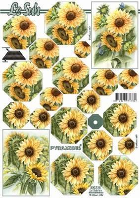 Pyramides sheet  630136  1