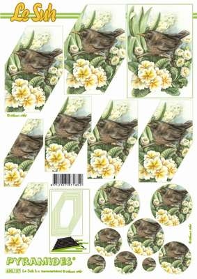 Pyramides sheet  630137  1