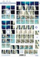 Squares vel  630203 1