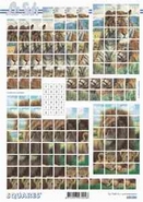 Squares vel  630205 1