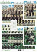 Squares vel  630206 1