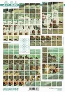 Squares vel  630211 1