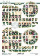 Squares vel  630213 1