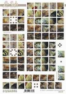 Squares vel  630219 1