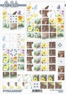 3D / Squares vel  630231 